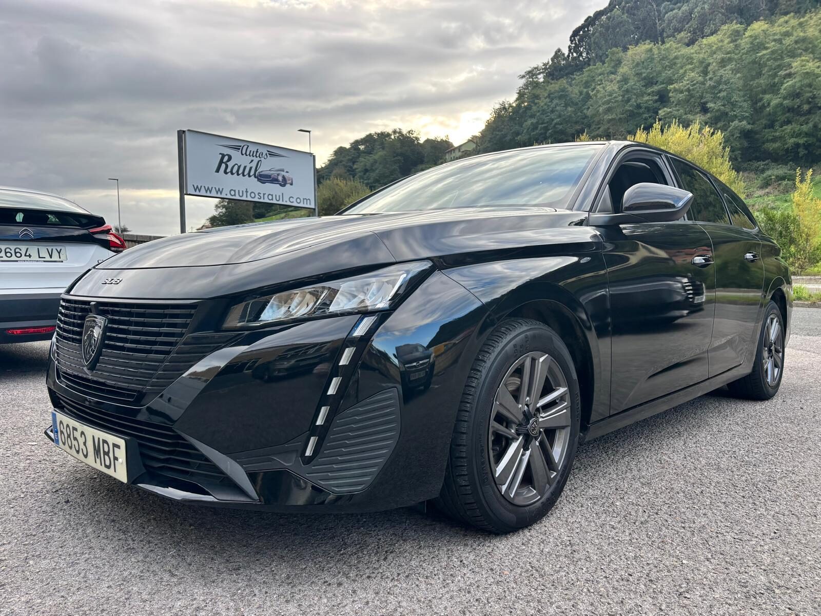PEUGEOT 308 SW